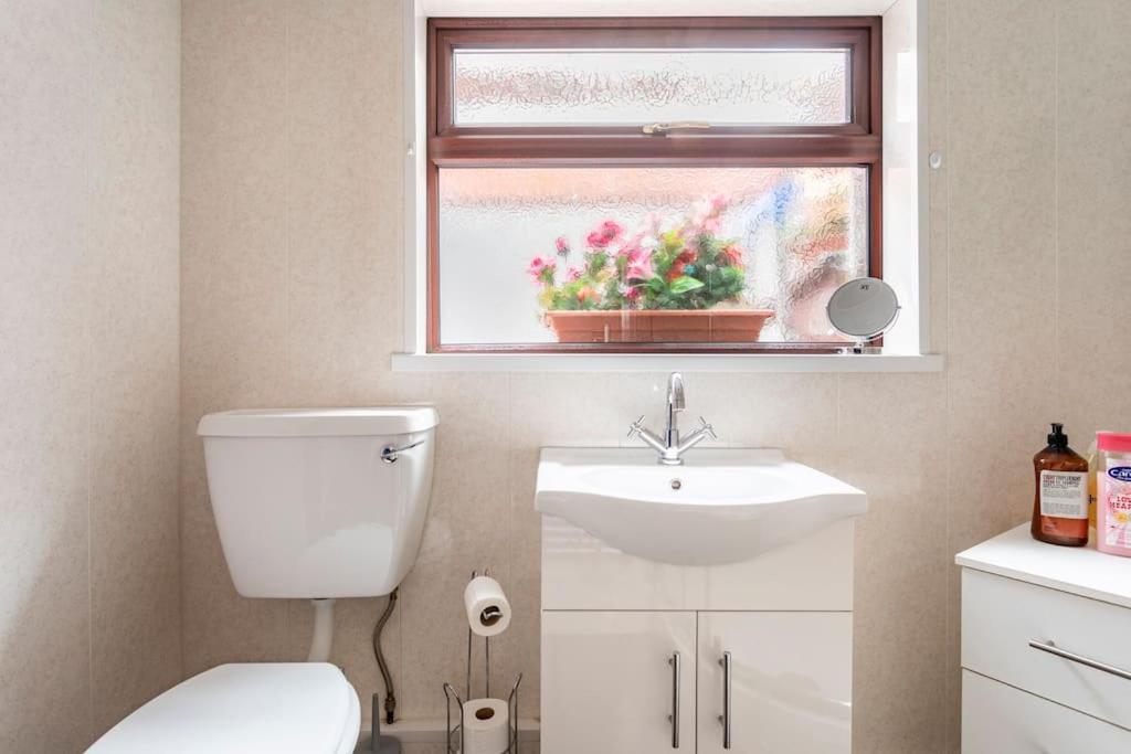 Central Belfast Town House Dış mekan fotoğraf